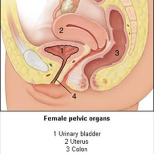 Medication Urinary Tract Infection 