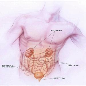  UTI Homeophatic Remedy